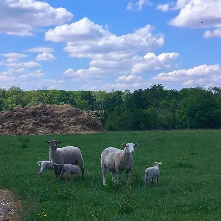 D'hote Mont Mouton